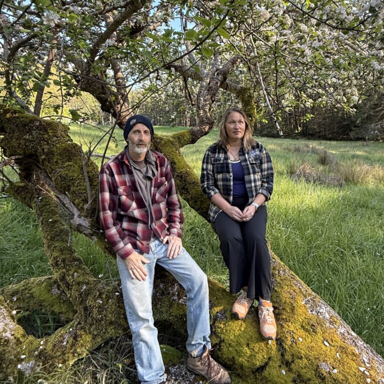 Apple Barner Acoustic - Pistol River Concert